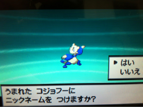 色違いいつ出るんだよ 色コジョフー