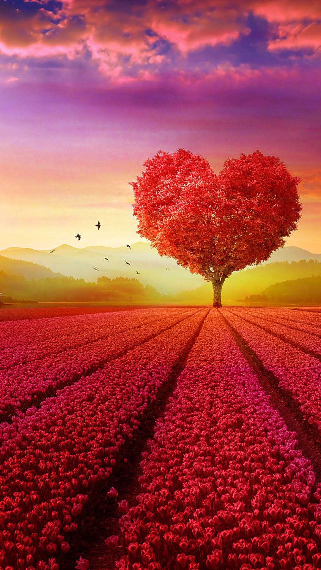 خلفيات مناظر طبيعية , اجمل الصور الطبيعيه لخلفيات الموبايل ... Pngtree offers hd lovely couple background images for free download.