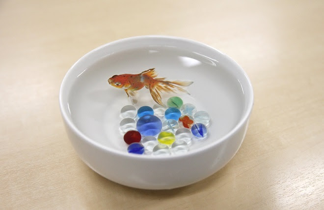 水族館の飼育スタッフに聞いた 金魚 飼い方のコツ 東京スカイツリータウン にある すみだ水族館 公式