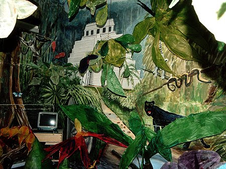 animals of rainforest pictures. of the animals painted in