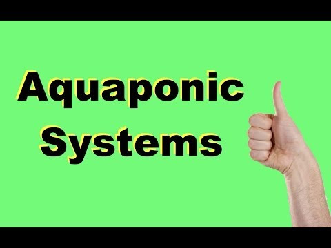 Aquaponic BioFilter 3 - Homemade Bio Filter For Aquaponic Systems