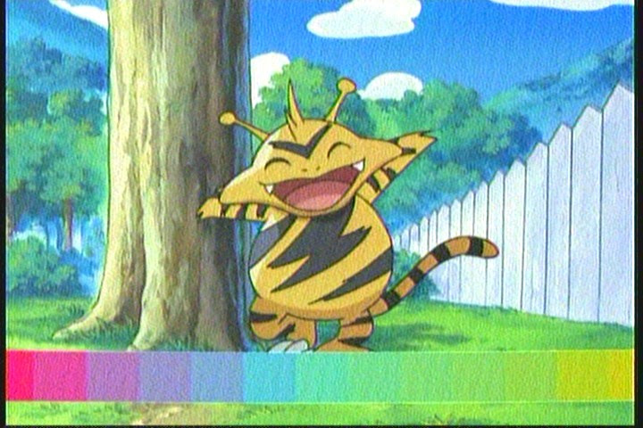 funny pokemon pictures. Funny Pokemon TV Show Screen