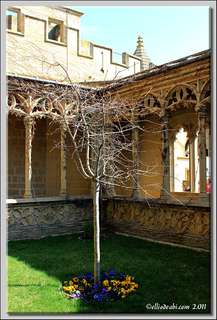 9 Palacio de Olite