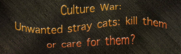 Cutlure Wars America
