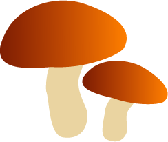 キノコのイラスト 秋のイラスト 無料イラスト フリー素材