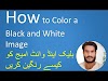 How to Color a Black and White Image