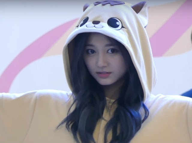 Twiceが着ぐるみファンサイン会で可愛さ爆発 会場は割れんばかりの大熱狂の渦に All About Girls K Pop
