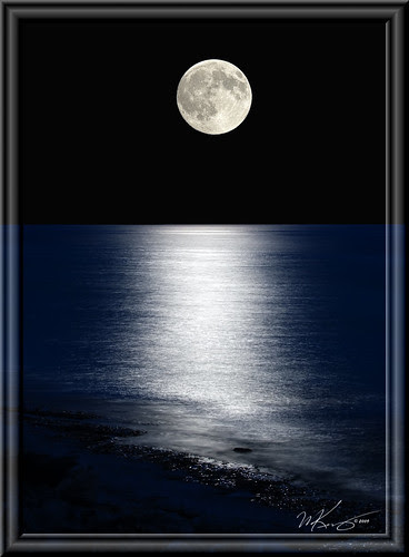 Full Moon Fever