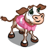 Romance Calf