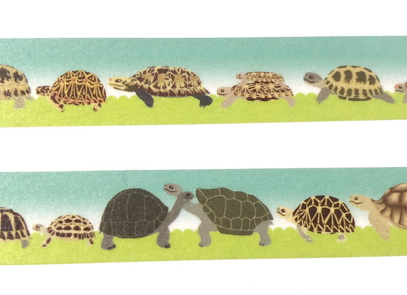 みのじのオミセ オリジナル亀グッズ