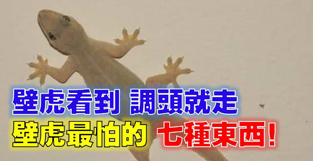 http://ift.tt/29u4iKs