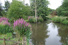 Godstone farm