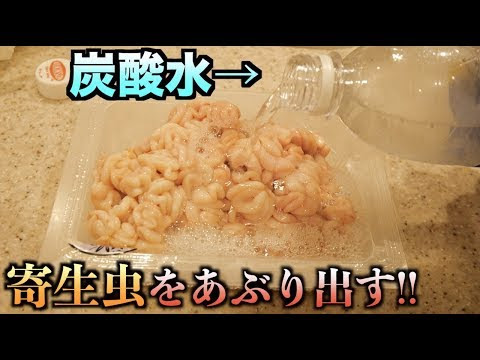 トミック タラの白子を炭酸水に漬けると寄生虫はどれくらい逃げ出すの Youtuber動画まとめ
