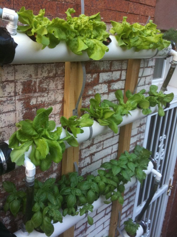 adaptable cultivation