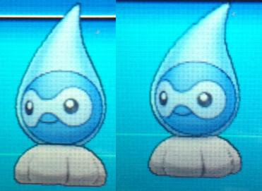 色違いに釘付け ポワルン