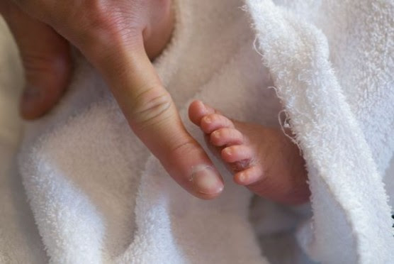 足の爪の正しい切り方 をご存知ですか 私は30年以上間違ってました 子育てパパがなにかやらかしています