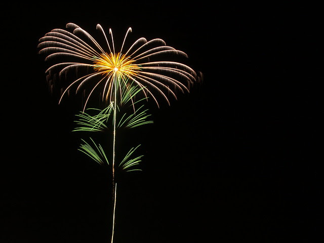 Flower on the dark sky