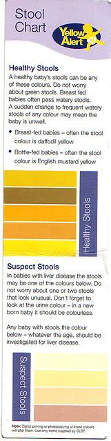 If stool is frothy, it could mean that baby is getting too much foremilk, and not enough fatty hindmilk. cldf stool chart poo chart baby poo colour color 22 flickr photo