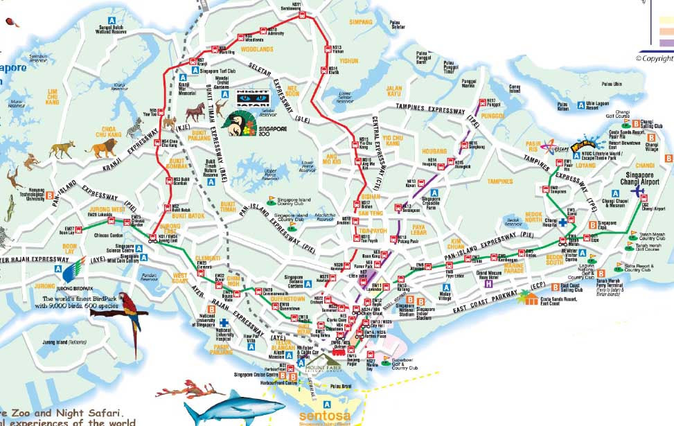 Detail Singapore Streets Map for Travelers Reference,streets map of Singapore city,bus guide singapore street style directory bus food map pdf,road map of singapore,singapore maps,singapore city mrt travel destinations attractions hotels map,tourist attractions in singapore,places to visit in singapore,things to do in singapore