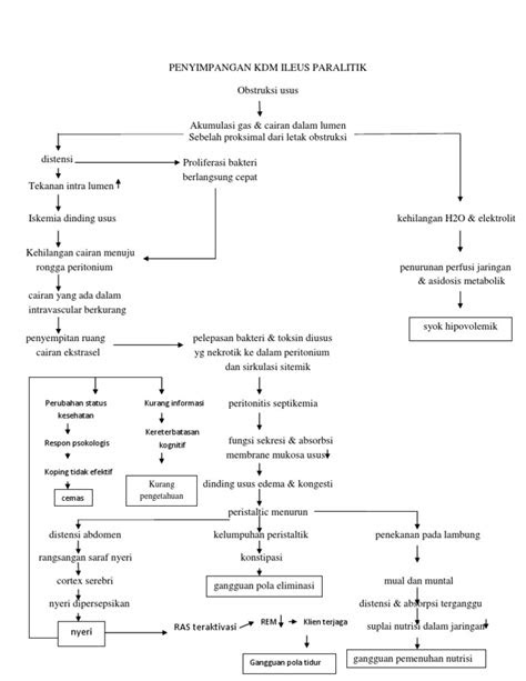 Penyimpangan Kdm Ileus Paralitik