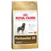 Rottweiler 26 Adult