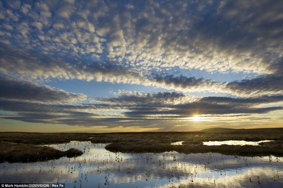 Stunning vista: The sun sets on Forsinard Flows RSPB reserve in Sutherland in the Scottish Highlands