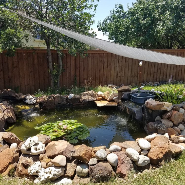 Small Koi Ponds | Titan GCS