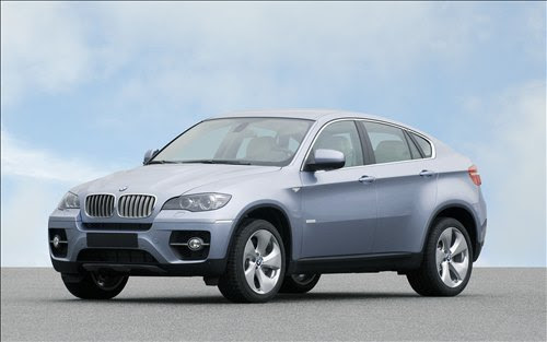 2010 BMW X6
