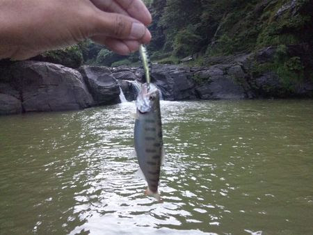 コロバヌサキの杖 釣れぬ湯川