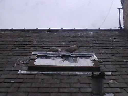 Photo 1276 2