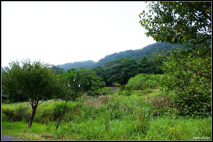 DSC07713