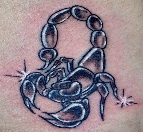 3330010957 0c78b91ec5 m Unusual Tattoos: Scorpions, Skulls, Tribal…