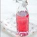 Raspberry Cordial_0020-WM[2]