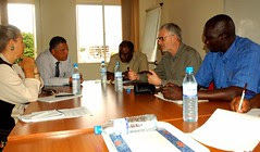taso gulu - office aDSC_2802_800x468