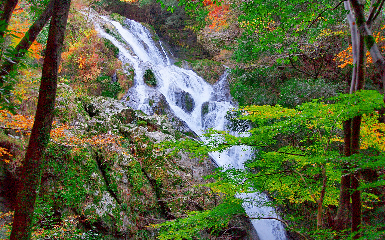 画像30枚 パワースポット待ち受け高画質壁紙集 これで開運アップ 写真まとめサイト Pictas