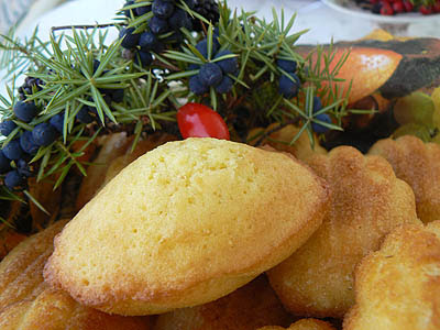 madeleine d'automne.jpg