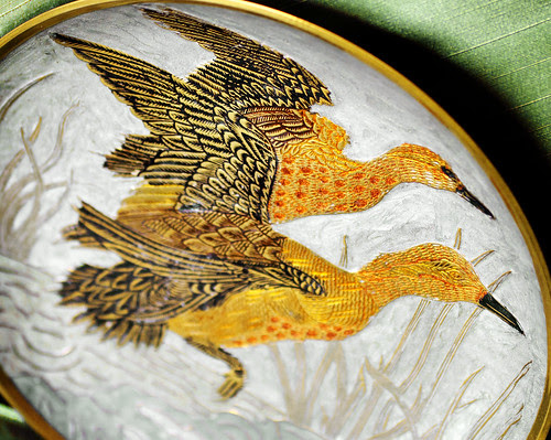 orange 6 by Alida's Photos