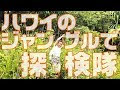 [最も共有された！ √] ハワイ ディズニー 日帰り 934432