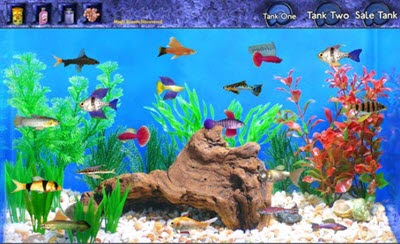 aquatic community