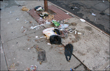 animals hurt by trash