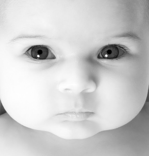 Baby Face by Lennette Newell