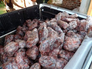 As arribaçãs foram encontradas mortas e congeladas em freezers (Foto: Divulgação/Ibama-RN)