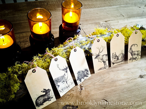 WoodsyTagFreebieBrooklynLimestone (1 of 1)