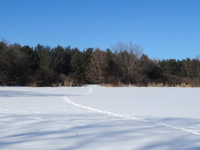 farmette winter-15.jpg