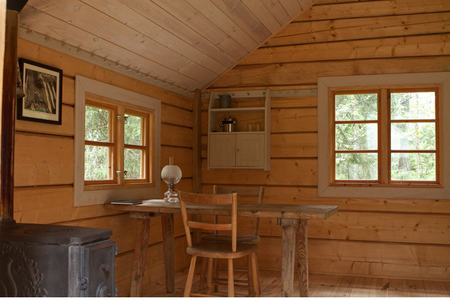 Cabane bois 2
