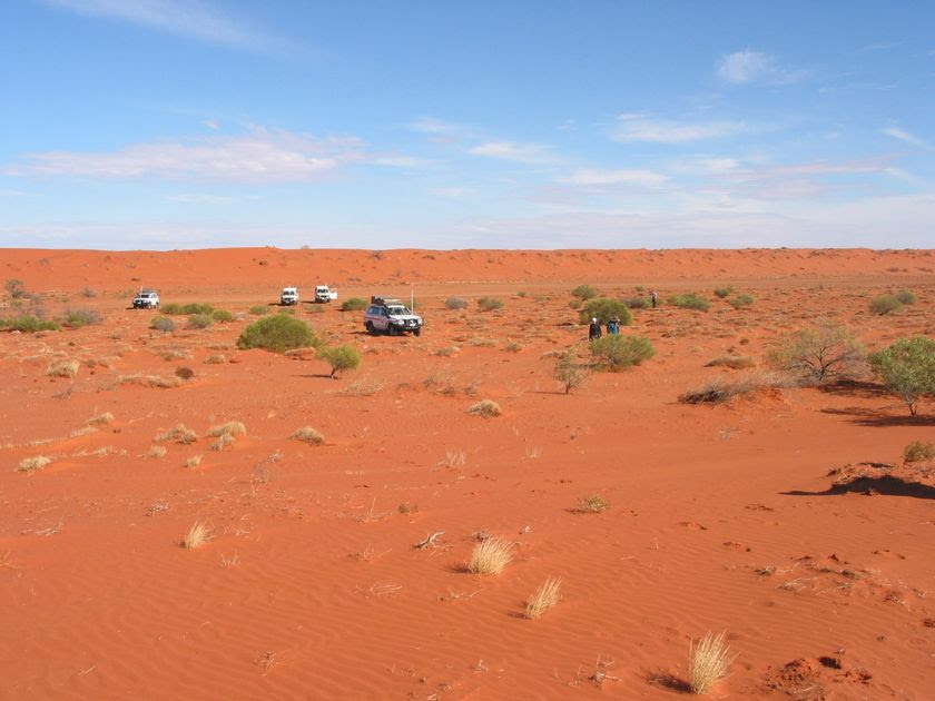 http://www.abc.net.au/reslib/201003/r528358_2985793.jpg