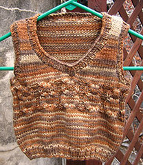 Parker's Owl Vest