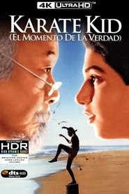 Karate Kid, el momento de la verdad 1984 estreno españa completa en
español >[1080p]< latino