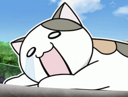 kitty