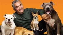 Cesar Millan password for show tickets.